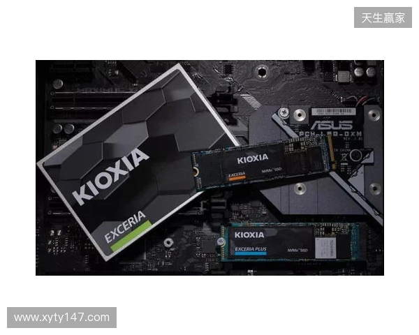 读写打穿天花板，再战五年不是梦！铠侠VE10固态上手体验